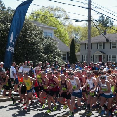 Start of 2016 USA Masters 10K Championship at the James Joyce Ramble in Dedham MA. (Photo: USATF-NE)